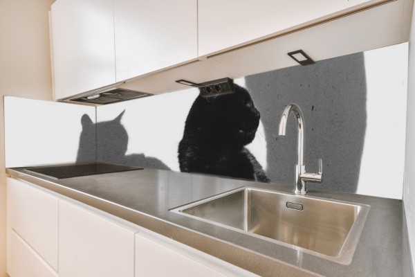 Küchenrückwand Katze Motiv 0085