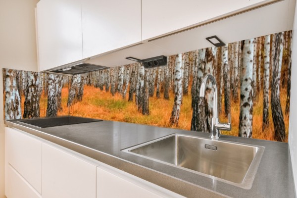 Küchenrückwand Birkenwald-Herbst Motiv 0138