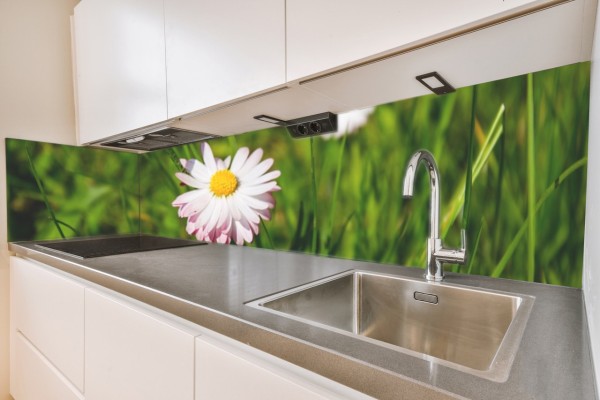 Küchenrückwand Gänseblümchen Motiv 0055