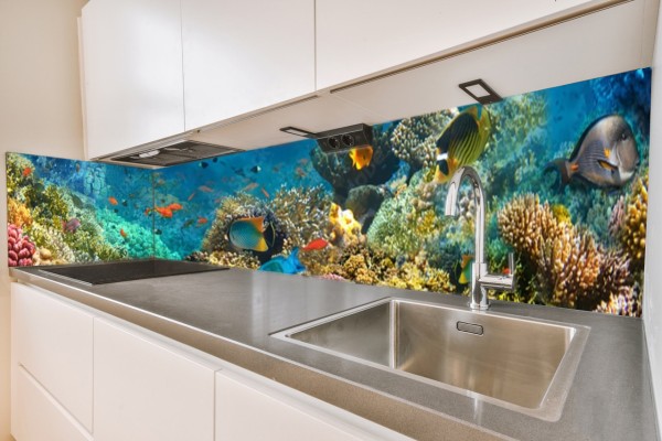 Küchenrückwand Unterwasser (2) Motiv 0448