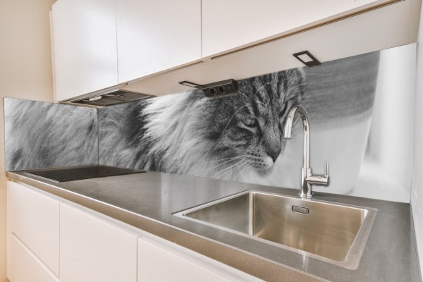 Küchenrückwand Katze (3) Motiv 0087