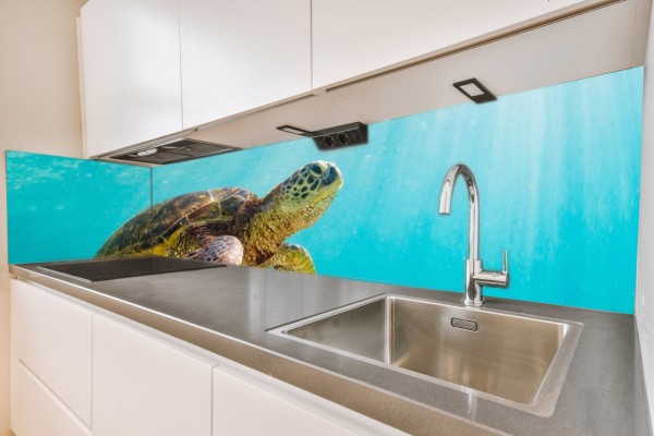Küchenrückwand Schildkröte Motiv 0155