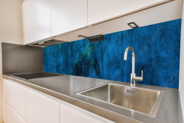 Küchenrückwand Schildkröte blau Wasser Motiv 0151