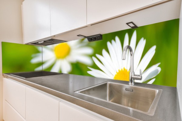 Küchenrückwand Gänseblümchen Motiv 0009
