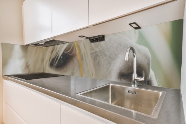 Küchenrückwand Alpaca Motiv 0090