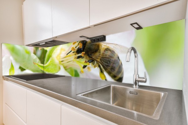 Küchenrückwand Blüte Biene Motiv 0016