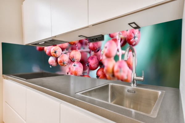 Küchenrückwand Beeren Motiv 0096