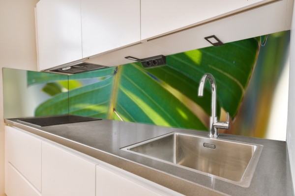 Küchenrückwand Palmenblatt Motiv 0093