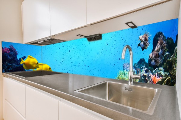 Küchenrückwand Unterwasser Motiv 0447